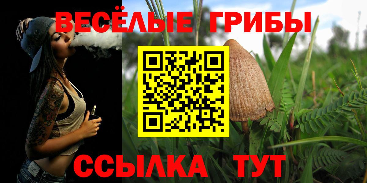 Галлюциногенные грибы Magic Shrooms Соль-Илецк